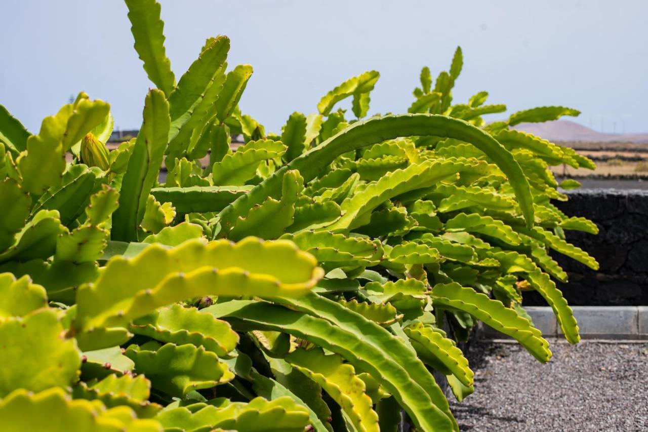 Eslanzarote Eco Dome Experience Hotel Teguise  Luaran gambar