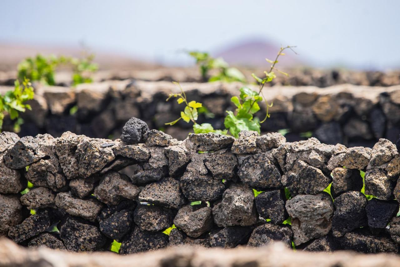 Eslanzarote Eco Dome Experience Hotel Teguise  Luaran gambar