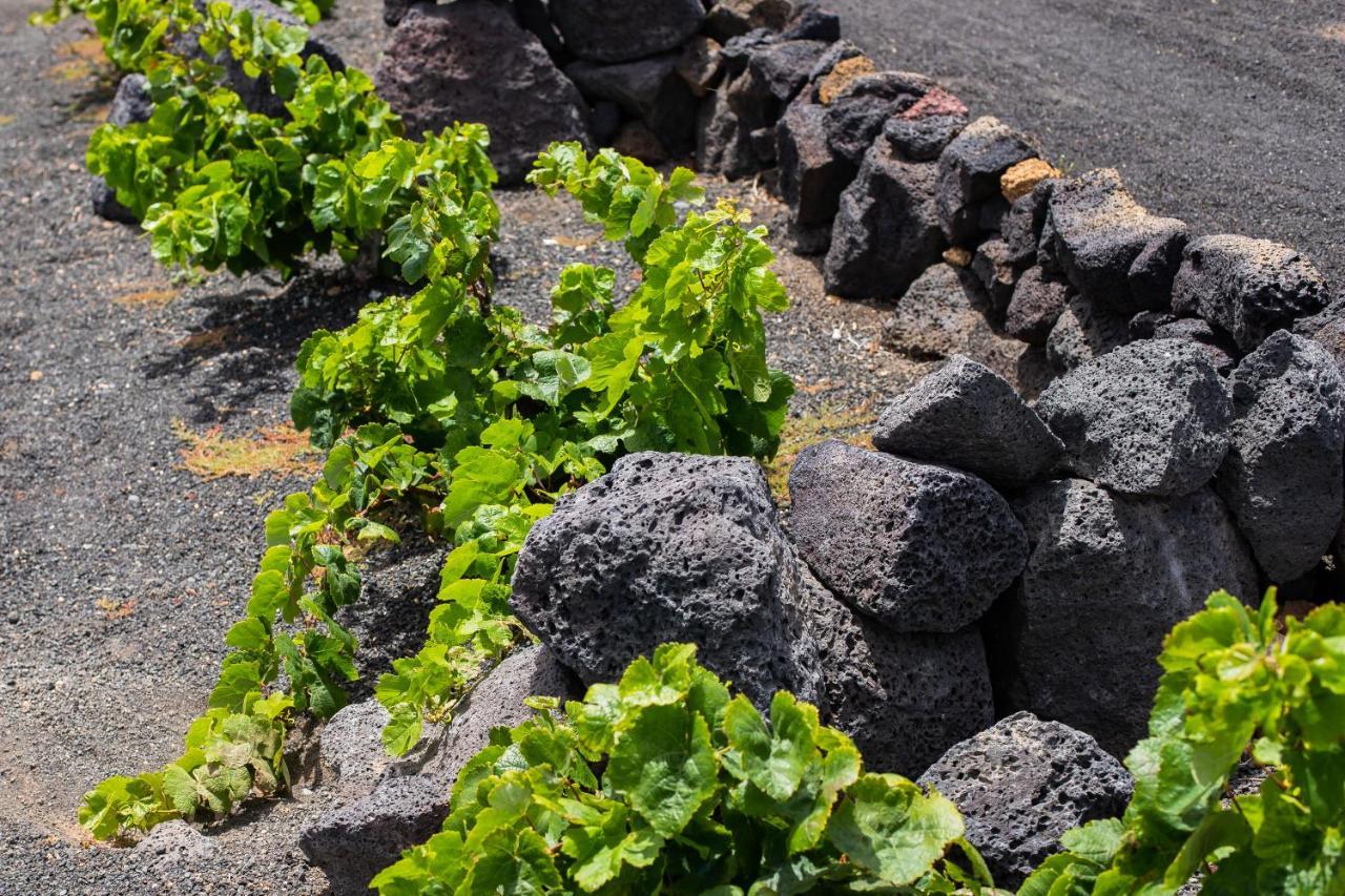 Eslanzarote Eco Dome Experience Hotel Teguise  Luaran gambar